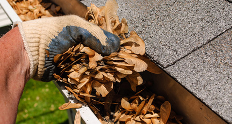 Gutter Cleaning Services Sydney