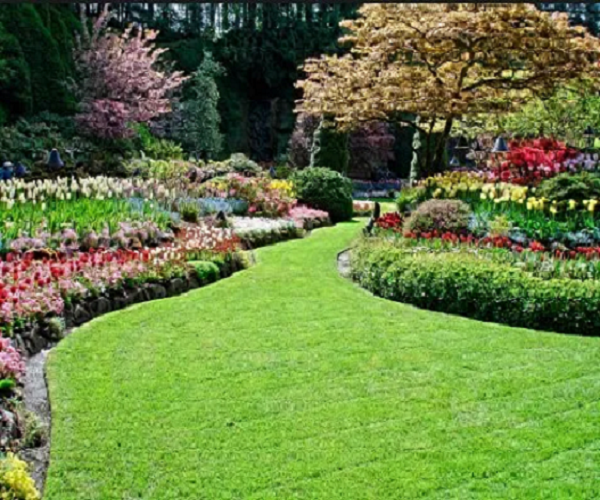 Landscaping Service Penrith